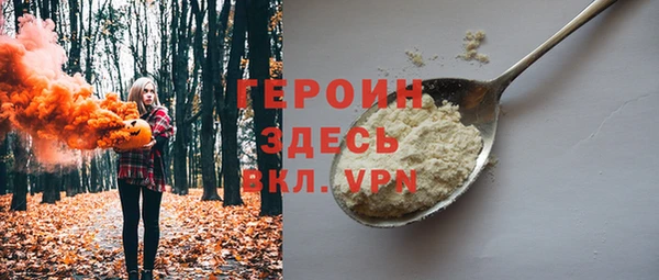 СК Алексин